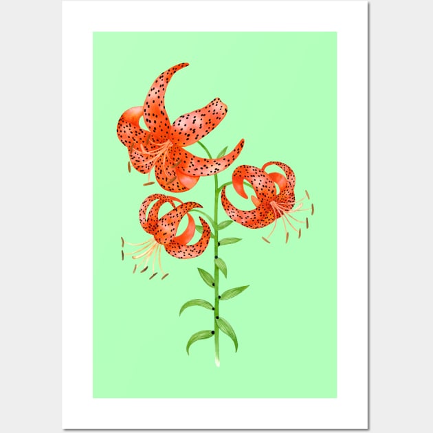 Tiger Lilies (Lilium lancifolium) Wall Art by illucalliart